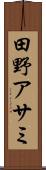 田野アサミ Scroll