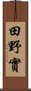 田野實 Scroll