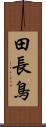 田長鳥 Scroll