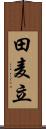 田麦立 Scroll