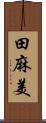 田麻美 Scroll