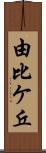 由比ケ丘 Scroll