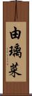 由璃菜 Scroll