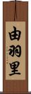 由羽里 Scroll