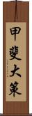 甲斐大策 Scroll