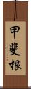 甲斐根 Scroll