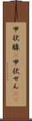 甲状腺(P) Scroll