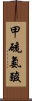 甲硫氨酸 Scroll