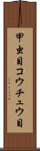 甲虫目 Scroll