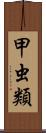甲虫類 Scroll