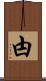 甴 Scroll