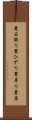 男日照り Scroll