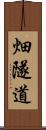 畑隧道 Scroll