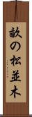 畝の松並木 Scroll