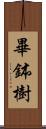 畢鉢樹 Scroll