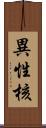 異性核 Scroll
