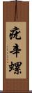 疣辛螺 Scroll