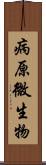 病原微生物 Scroll