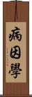 病因學 Scroll