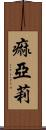 痲亞莉 Scroll