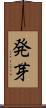 発芽 Scroll