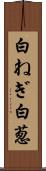 白ねぎ Scroll