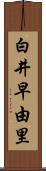 白井早由里 Scroll