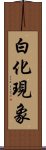 白化現象 Scroll