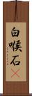 白喉石䳭 Scroll