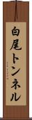 白尾トンネル Scroll