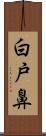 白戸鼻 Scroll