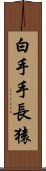 白手手長猿 Scroll