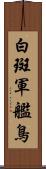 白斑軍艦鳥 Scroll