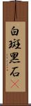 白斑黑石䳭 Scroll
