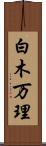 白木万理 Scroll