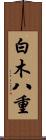 白木八重 Scroll