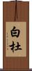 白杜 Scroll