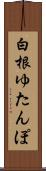 白根ゆたんぽ Scroll