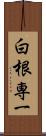 白根専一 Scroll