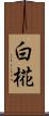 白椛 Scroll