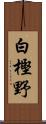 白樫野 Scroll