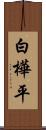 白樺平 Scroll