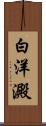 白洋澱 Scroll