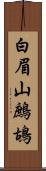 白眉山鷓鴣 Scroll