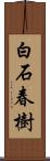 白石春樹 Scroll