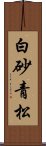 白砂青松 Scroll