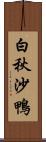 白秋沙鴨 Scroll