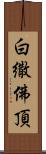 白繖佛頂 Scroll