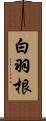 白羽根 Scroll