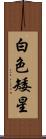 白色矮星 Scroll